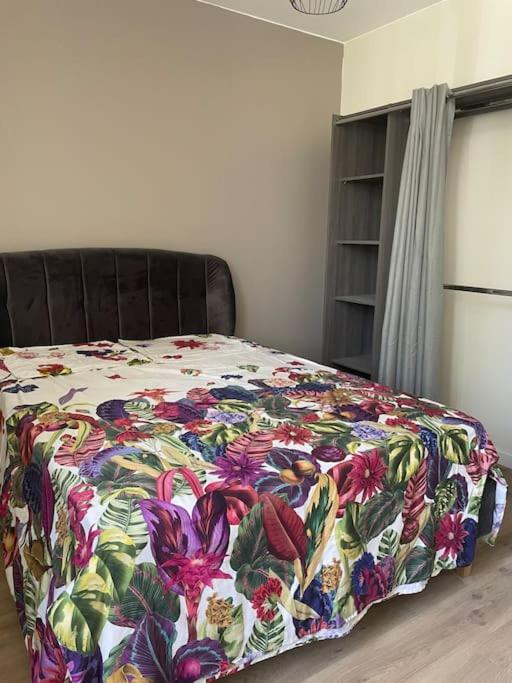Maison 5 Chambres 3Sdb En Ville Avec Piscine Périgueux Exteriör bild